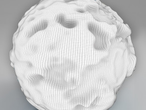 earth gravity map 3Dモデル