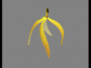 a banana peel Modello 3D