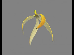 a banana peel 3D Model