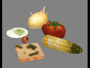 moldy food and spoiled vegetables Modèle 3D