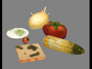 moldy food and spoiled vegetables 3D Model