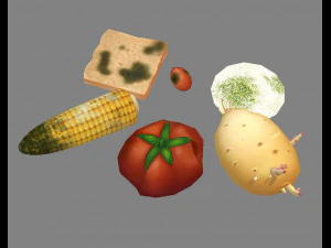 moldy food and spoiled vegetables 3D Model