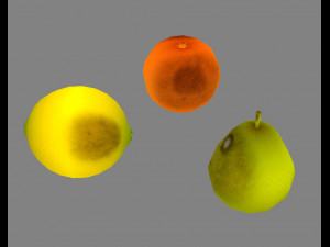moldy fruits -coconut-banana-pomegranate-apples-pear-orange 3D 模型