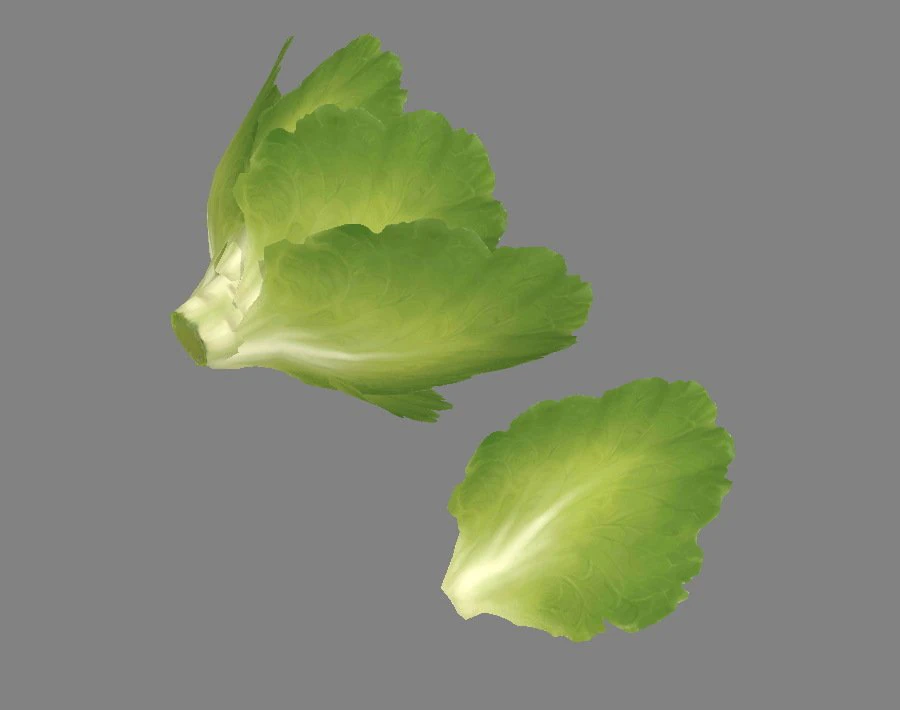 cartoon vegetable - lettuce and leaf - green salad 3D Model .c4d .max .obj .3ds .fbx .stl .blend 