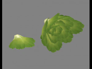 cartoon vegetable - lettuce and leaf - green salad 3D Model