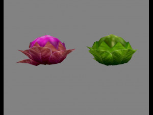 cartoon cauliflower -vegetables Modelo 3D