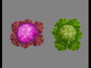 cartoon cauliflower -vegetables 3D Model