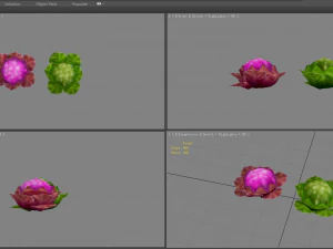 cartoon cauliflower -vegetables 3D Model