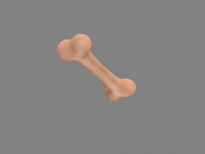 cartoon puppy bone toy 3D Model