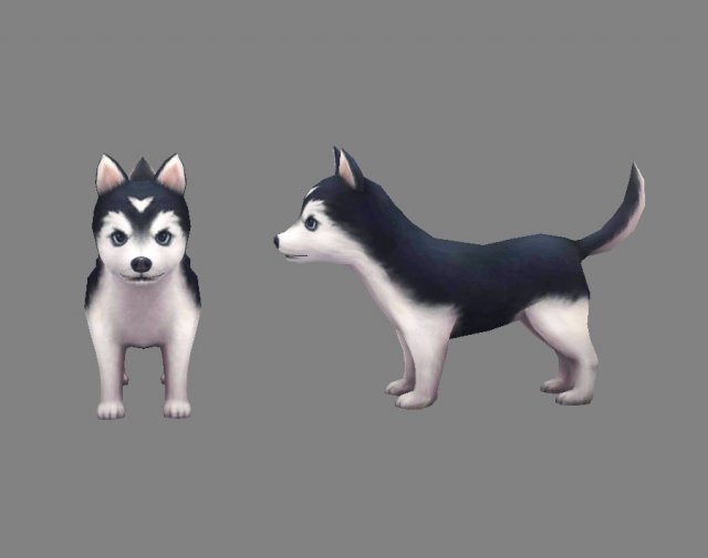 cartoon puppy - alaska - baby dog 3D-Modell .c4d .max .obj .3ds .fbx .stl .blend 