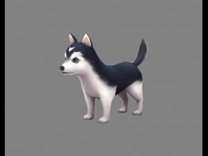 cartoon puppy - alaska - baby dog 3D-Modell