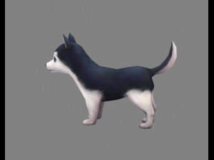 cartoon puppy - alaska - baby dog 3D-Modell