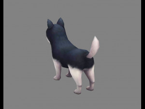cartoon puppy - alaska - baby dog 3D-Modell