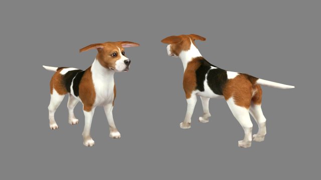 cartoon beagle - dog 3D Model .c4d .max .obj .3ds .fbx .stl .blend 