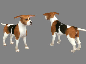 cartoon beagle - dog 3D Model