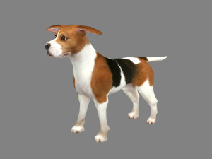 cartoon beagle - dog 3D Model
