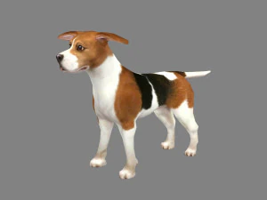 cartoon beagle - dog 3D Model