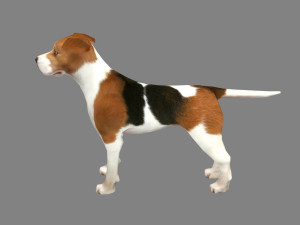 cartoon beagle - dog 3D Model