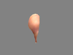 cartoon pork leg - ham 3D Model