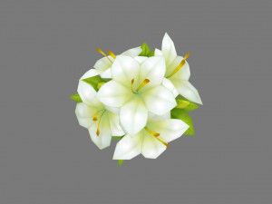 cartoon lily bouquet - carnation - holding flowers Model 3D
