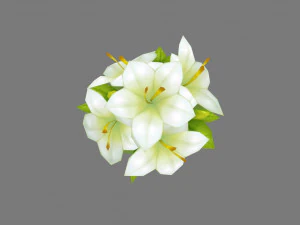 cartoon lily bouquet - carnation - holding flowers 3D Model