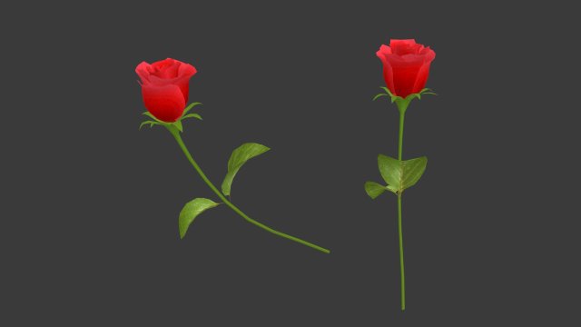 a rose 3D Model .c4d .max .obj .3ds .fbx .stl .blend 