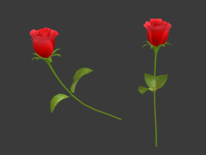 a rose Modèle 3D