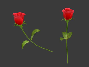 uma rosa Modelo 3D
