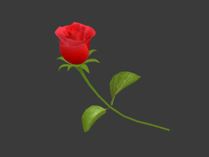 a rose 3D Model