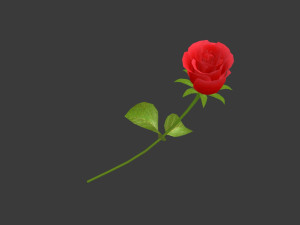 a rose 3D Model