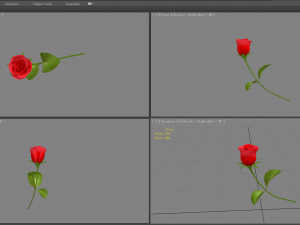 a rose 3D Model