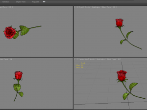 a rose 3D Model