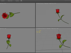 a rose 3D Model