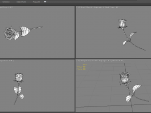 a rose 3D Model