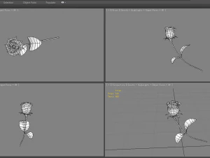 a rose 3D Model