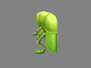 cartoon grasshopper 3D Model