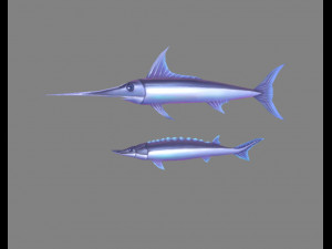 cartoon fish - xiphias gladius -marlin 3D Model