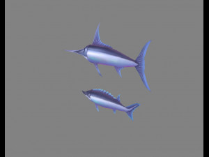 cartoon fish - xiphias gladius -marlin 3D Model