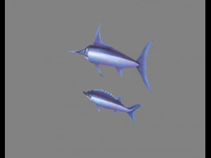 pez de dibujos animados - xiphias gladius -marlin Modelo 3D