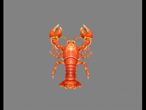 cartoon lobster - sea shrimp - crab 3D Model