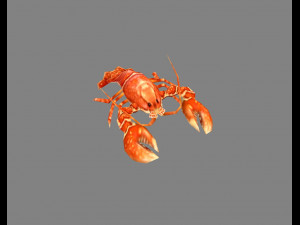 cartoon lobster - sea shrimp - crab 3D 模型