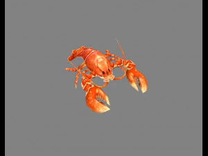 cartoon lobster - sea shrimp - crab 3D Model