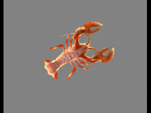 cartoon lobster - sea shrimp - crab 3D Model