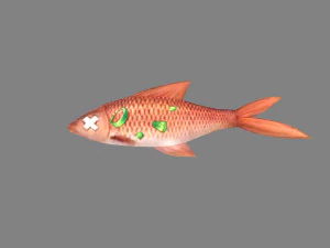 piatti di cartone animato: pesce brasato Modello 3D