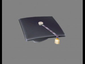 cartoon graduation cap 3D Model