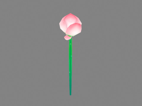A lotus bud - Cartoon lotus 3D Модель