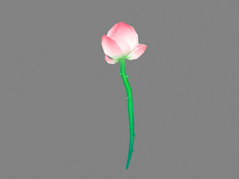 A lotus bud - Cartoon lotus 3D Модель