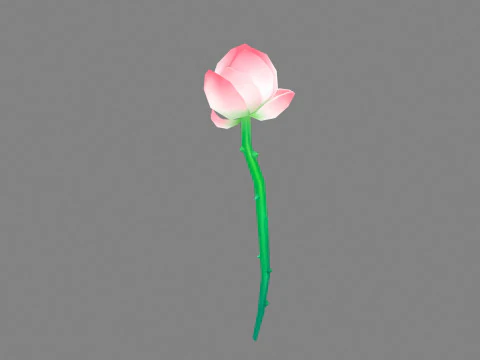 A lotus bud - Cartoon lotus 3D Model