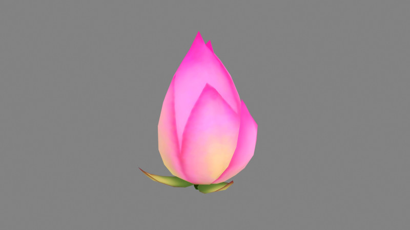A purple lotus bud - Cartoon lotus 3D Model .c4d .max .obj .3ds .fbx .stl .blend 