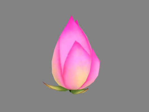 A purple lotus bud - Cartoon lotus 3D 모델